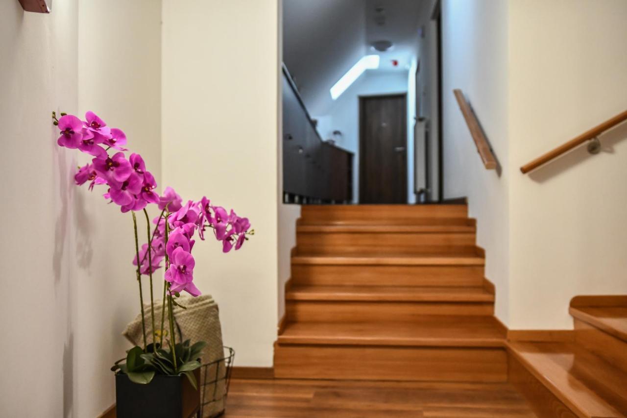 E-Vasko Panzio Borpince Bed & Breakfast Tokaj Exterior foto